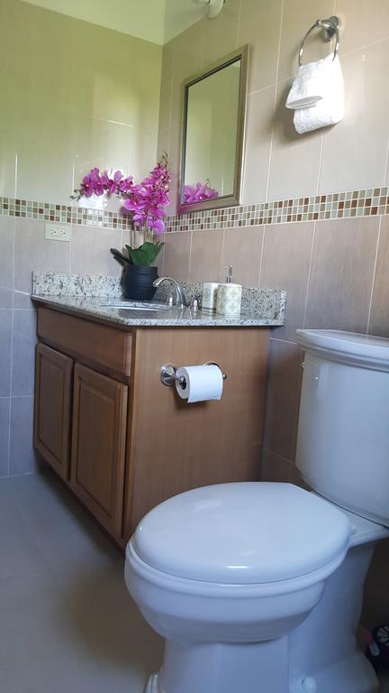 Enfield Apt 12, Executive Suites Ja - Palms מראה חיצוני תמונה